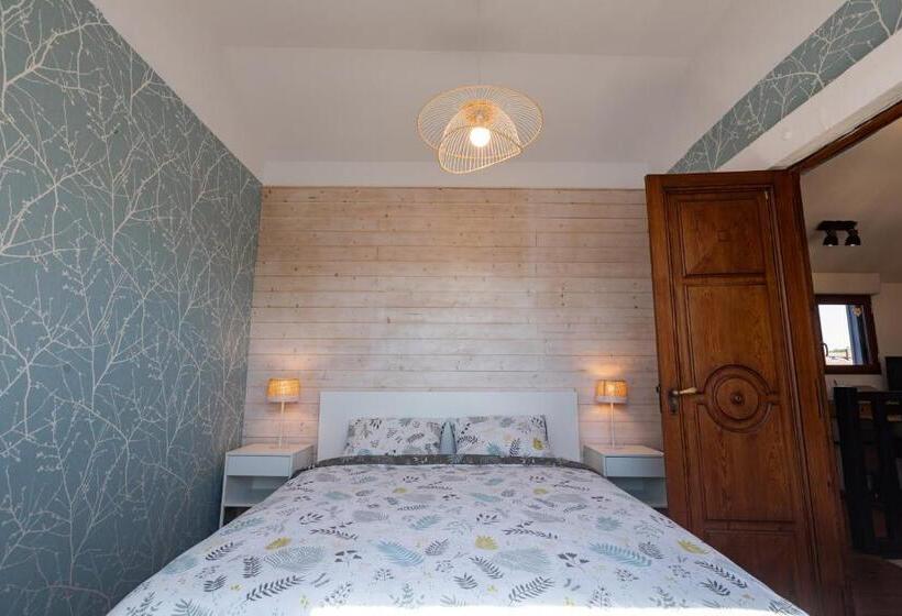 Superbe Maison Avec Piscine Et Jacuzzi Dans Les Dunes