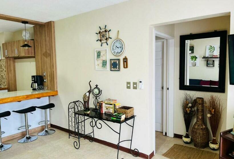 Apartamento The Garden