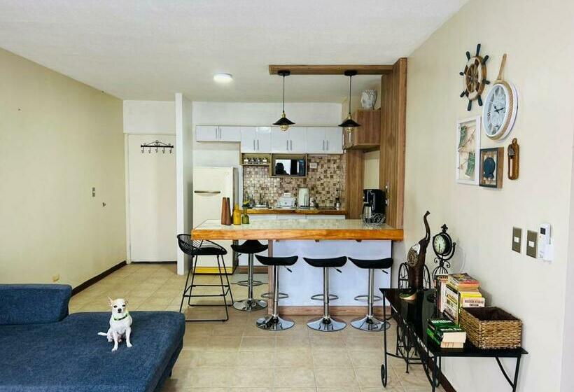 Apartamento The Garden