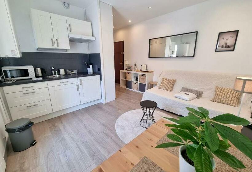 #dd L écrin Studio Ile Verte Balcony