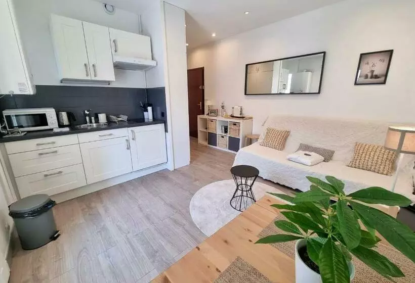 #dd L écrin Studio Ile Verte Balcony