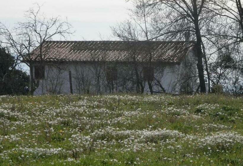 Roman Countryside! House Surrounded By Nature