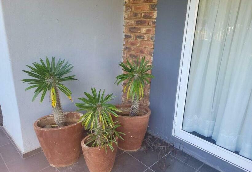 Cosy   Best Rest Potch