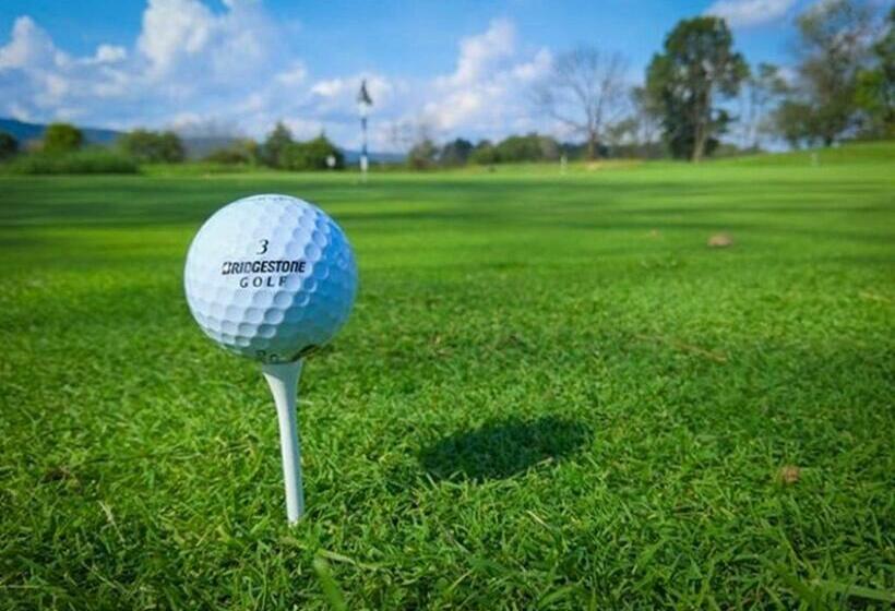 Cosy   Best Rest Potch