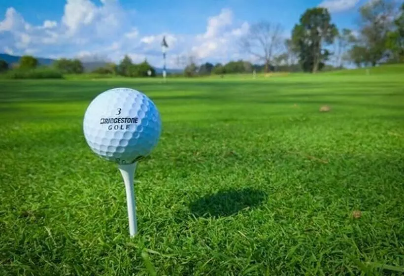 Cosy   Best Rest Potch