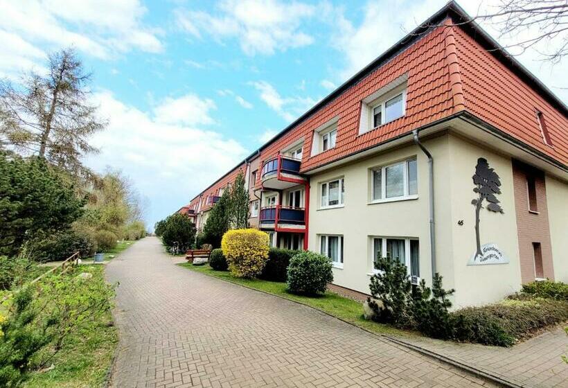 Dünengarten Nr 56 Mit Balkon Und Meerblick Ofc 20