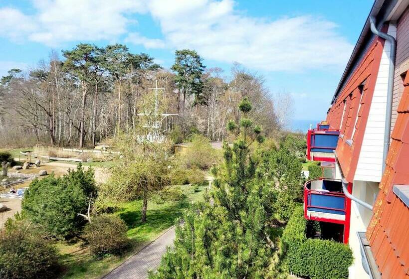 Dünengarten Nr 56 Mit Balkon Und Meerblick Ofc 20