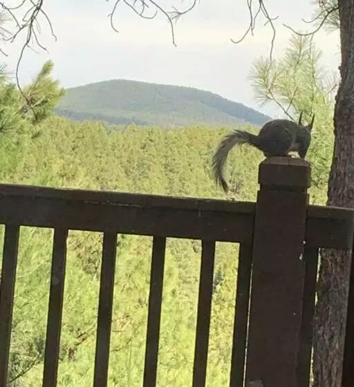 Neck Of The Woods! Canyon Views! Breathtaking!