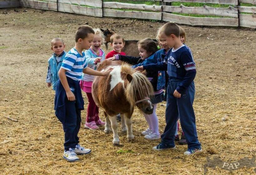 Alpaka Farm Csacsi Vendégház