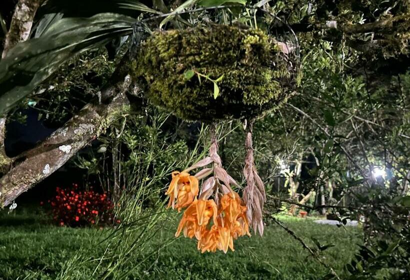 Quinta Vacacional Diego Alfonso, My House In Macas