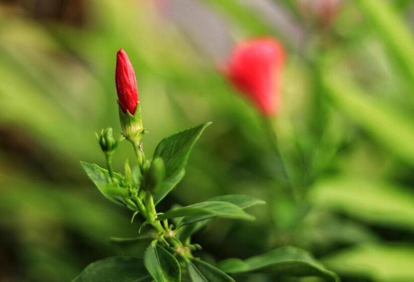 The Pink House Mamallapuram