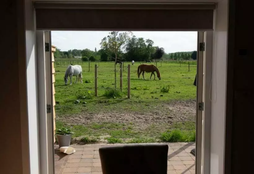 B&b Hoeve Klein Haneveld