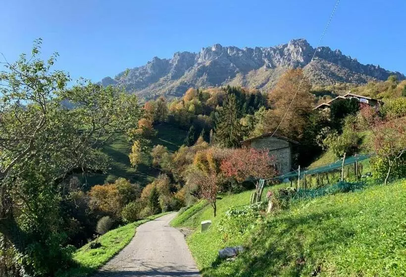 La Casa Del Bosco