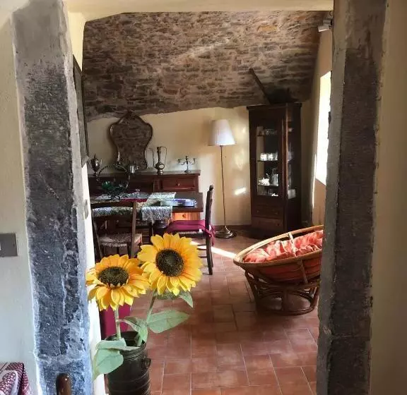 La Casa Del Bosco