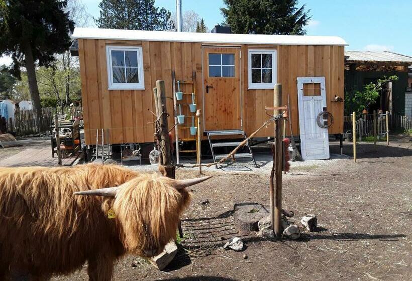 Schäferwagen Auf M Minibauernhof In Munster