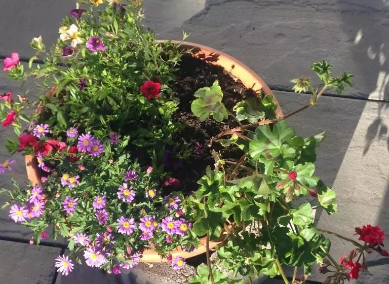 ベッドアンドブレックファースト Landhaus Engadin