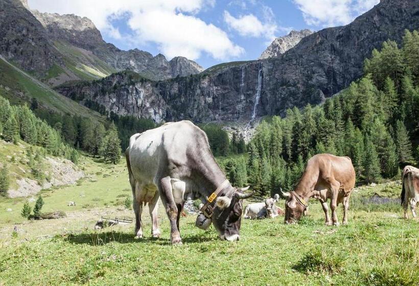 호텔 Haus Tirol Appartements