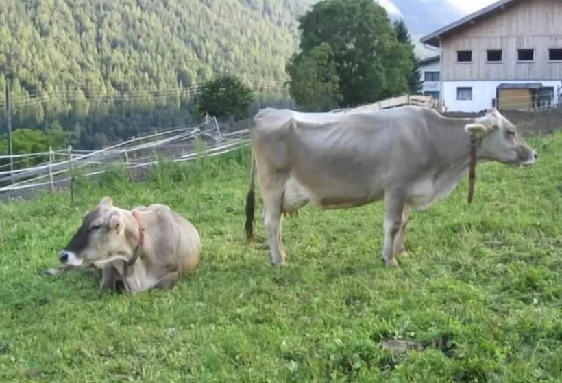 בית מלון כפרי Pension Grubenhof