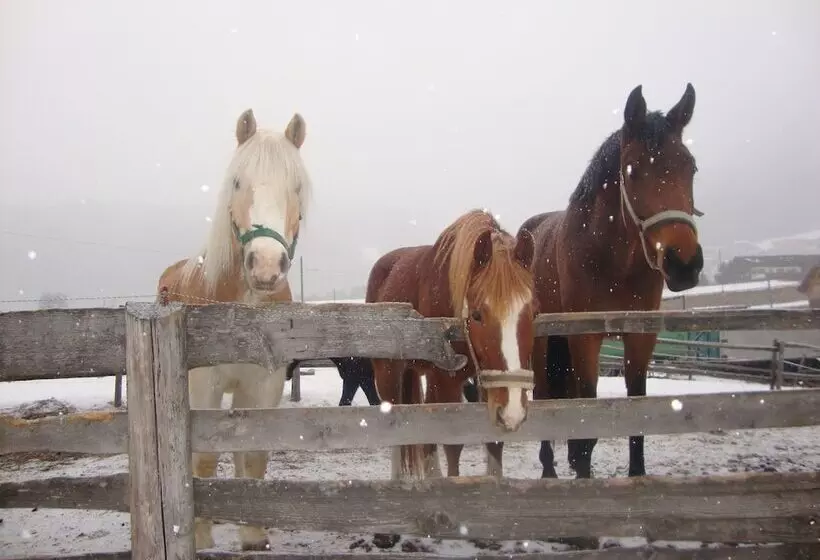 בית מלון כפרי Pension Grubenhof