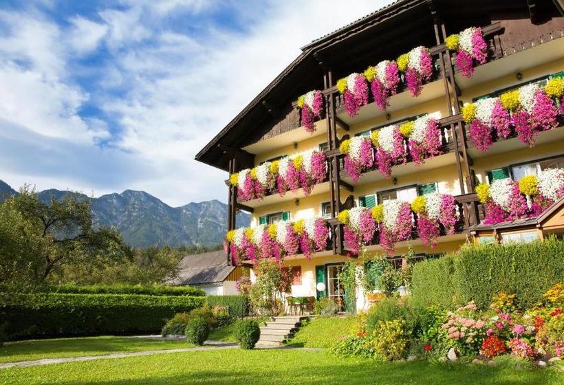 فندق Pension Maria Theresia