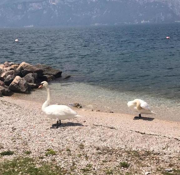 בית מלון כפרי Smeraldo