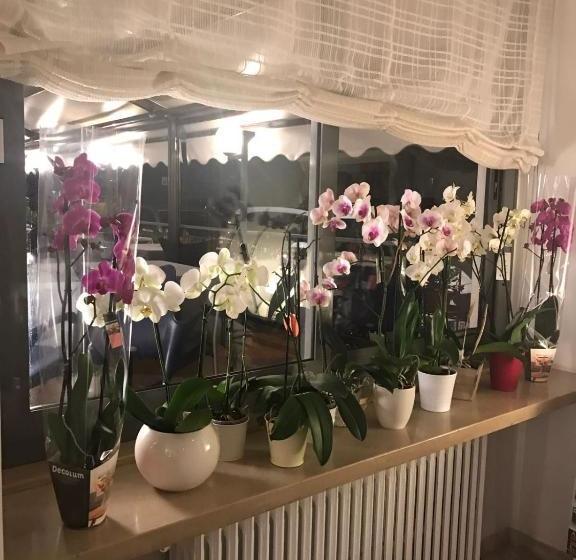 בית מלון כפרי Smeraldo