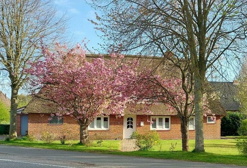 Entspannung Unter Reet