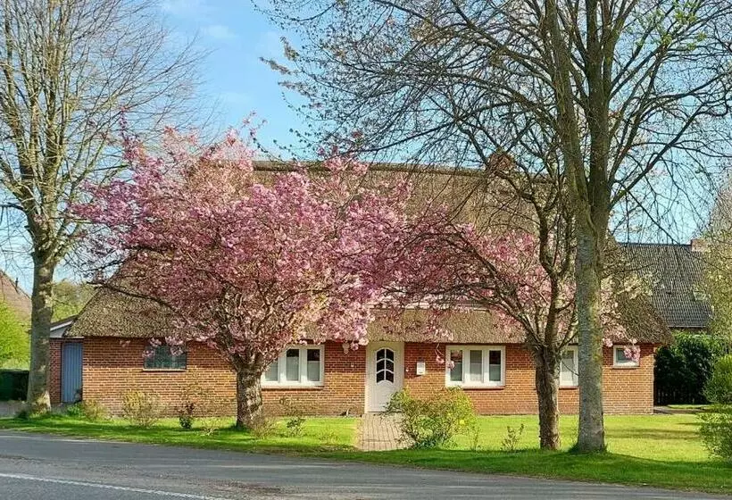 Entspannung Unter Reet