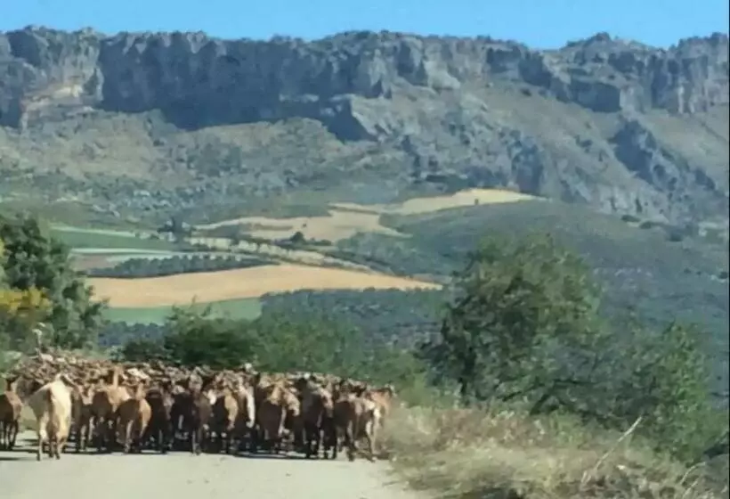 Finca El Sueño Andaluz