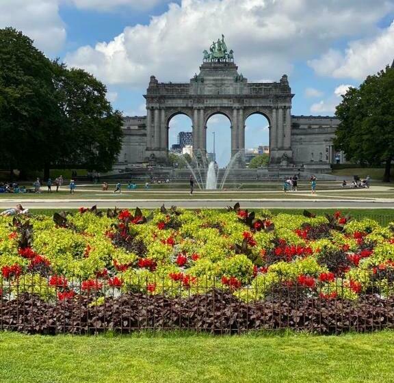 Cinquantenaire Appartement