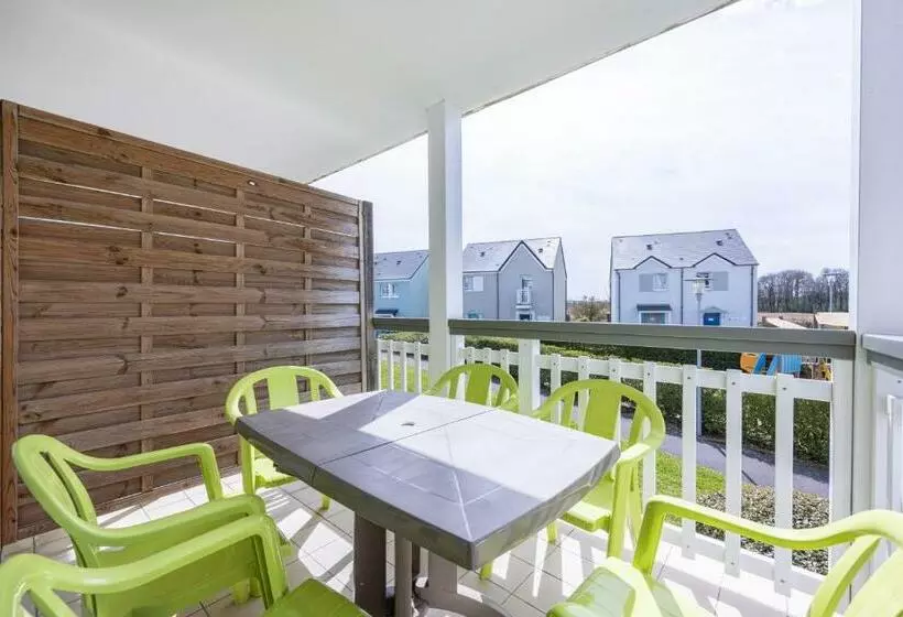 Le Bécasseau Sanderling