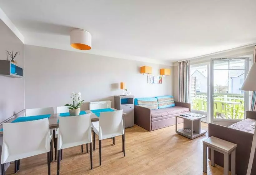 Le Bécasseau Sanderling