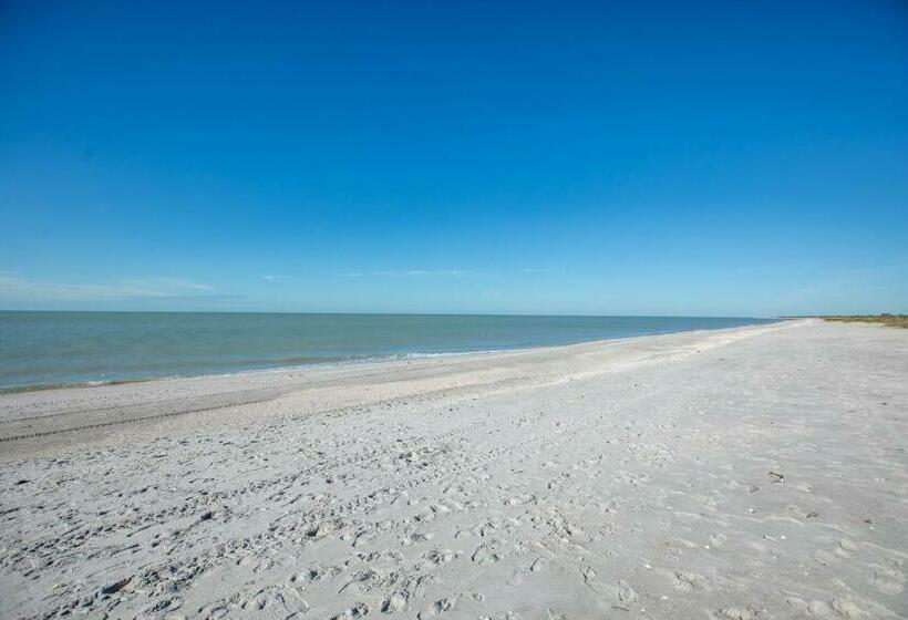 Mimis Happy Beach Blessing