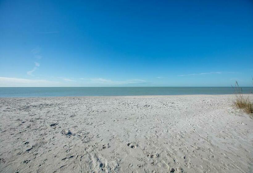 Mimis Happy Beach Blessing