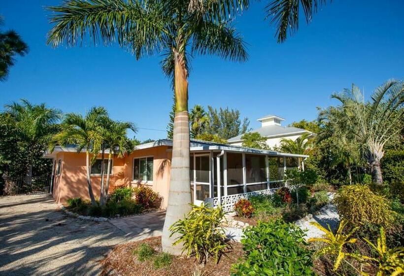 Mimis Happy Beach Blessing