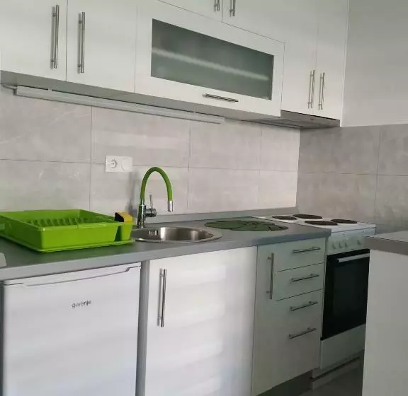 Apartment Leo 11