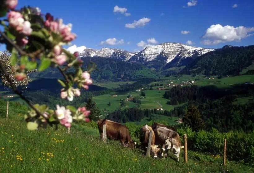 Fewo Allgäuphorie, Oberreute