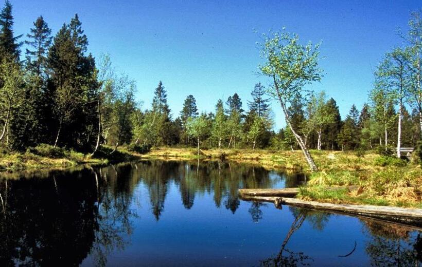 Fewo Allgäuphorie, Oberreute