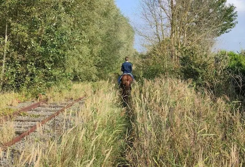 Kind  & Diervriendelijk Huisje