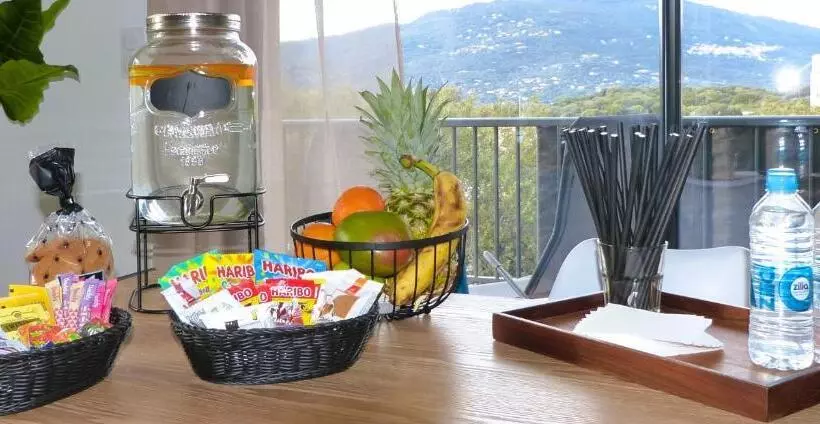 Super T3 Vue Mer Et Montagne. Idéalement Situé