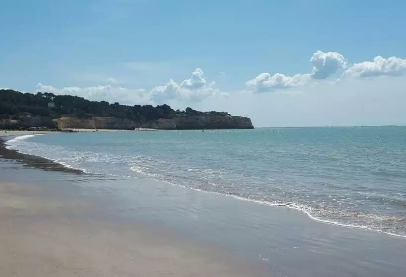 Bleu Soleil 3 En Résidence 200m Plage & Commerces