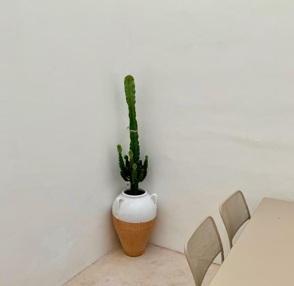 Bianco Antico Salento