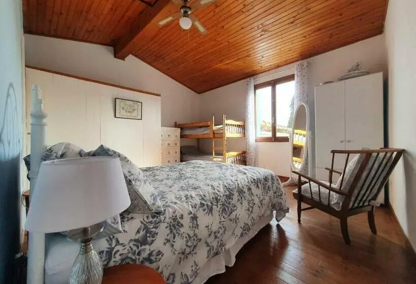 Bonnie Maison