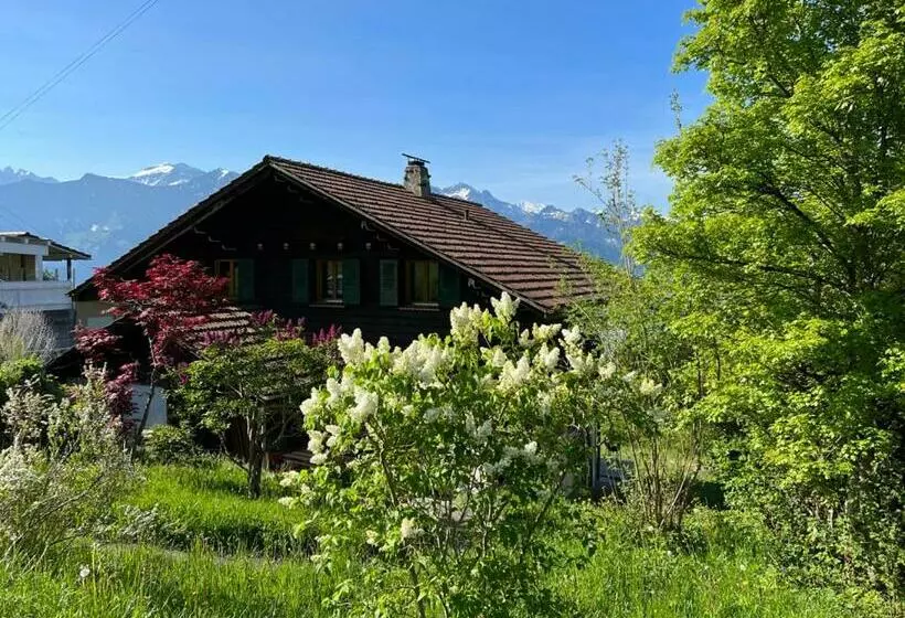 Chalet Friesli Beatenberg