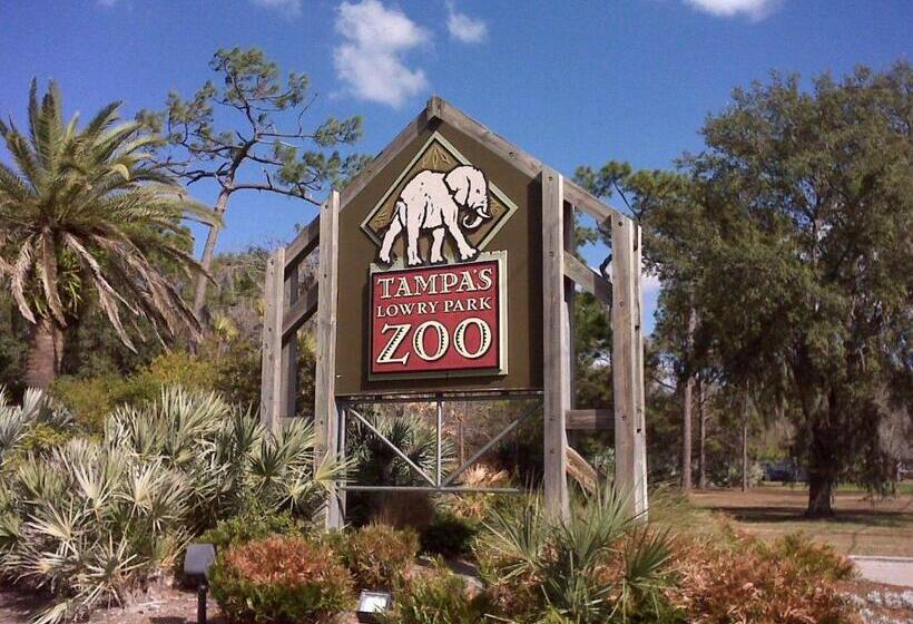 New Construction Beautiful Lutz Property Close To Usf And All Major Tampa Attractions