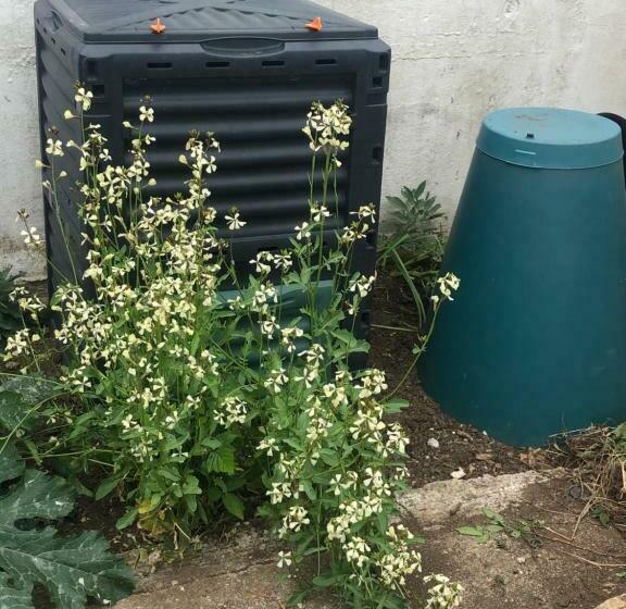 Carn View Located Nr Heartlands & Carn Brea