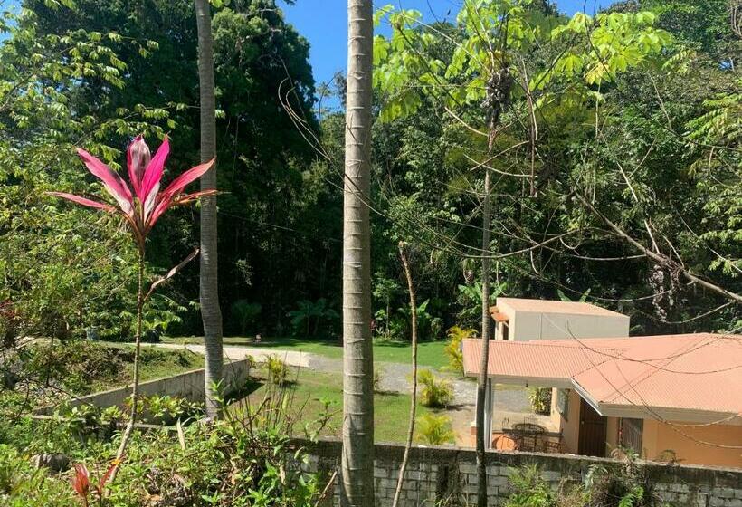 Alma Del Bosque Vacation Home And Apartments