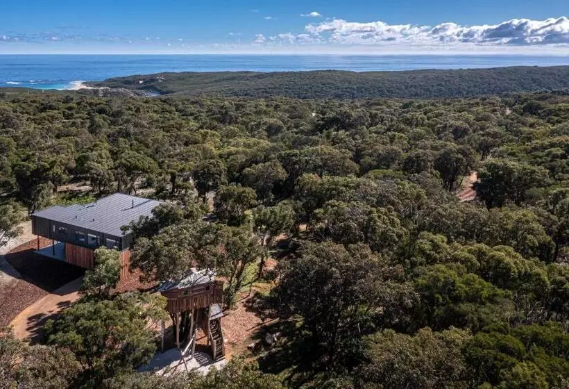 Carpe Artes  Architectural Bushland Home, Marg Riv