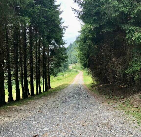 Chalet Rivière Du Bon Nant Location Ski  Rando Montagne En Haute Savoie