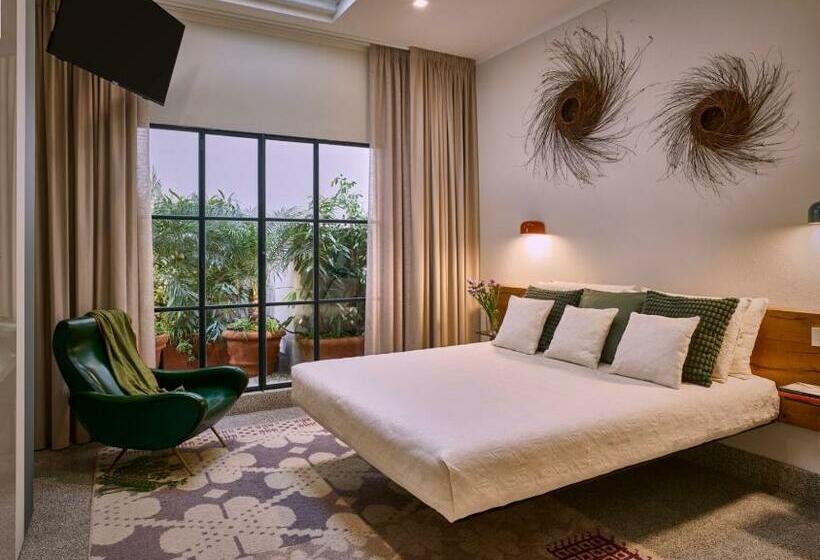 Right House   Indipendent In Characteristic Marina District